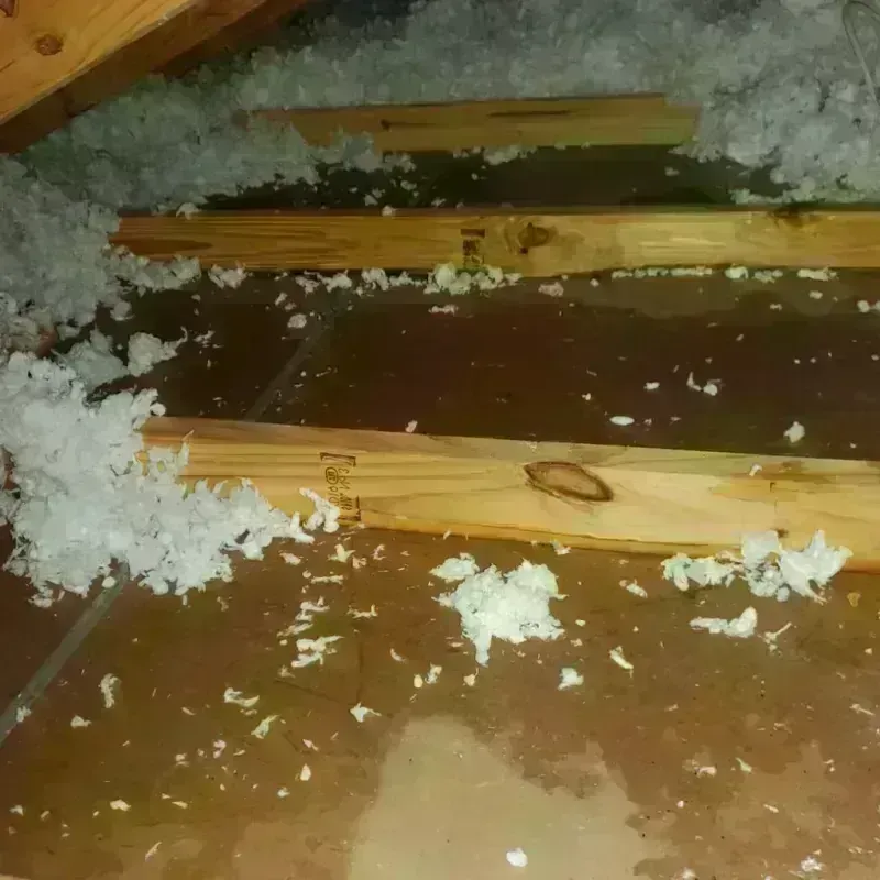 Attic Water Damage in Trinity County, CA